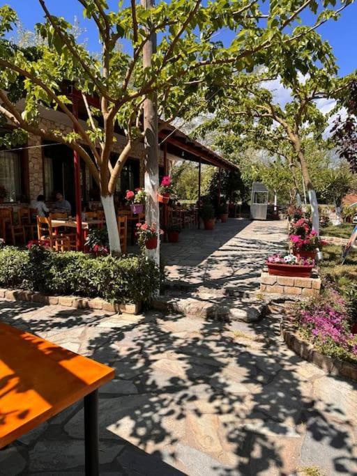 Appartamento Family Woodland Oasis Vipgreece Kírinthos Esterno foto